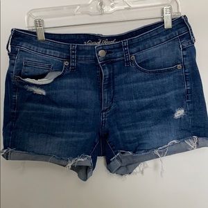 Distressed Denim Shorts